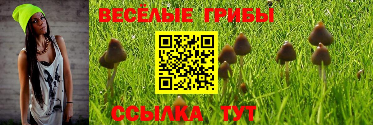 Псилоцибиновые грибы мухоморы  Псилоцибиновые грибы Psilocybine cubensis  Вход с VPN  Шатура 