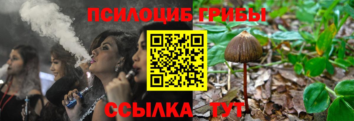 Галлюциногенные грибы Psilocybine cubensis Шатура